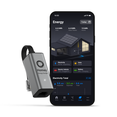 Homey Energy Dongle P1