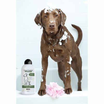 Odor Control, Concentrated Shampoo 750 ml