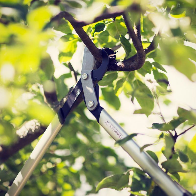 PowerGear X pruning shears LX94 M