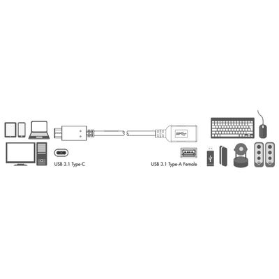 USB 3.1 USB-C Ha -> USB-A Ho