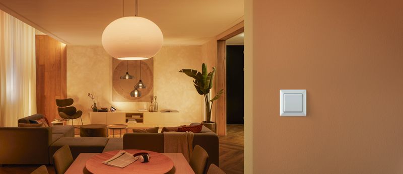 Hue Wall switch module 2-pack