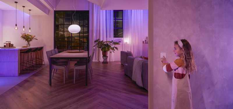 Hue Wall switch module 2-pack