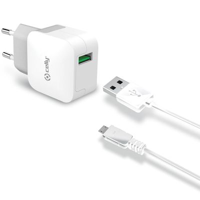USB Charger MicroUSB 2.4A