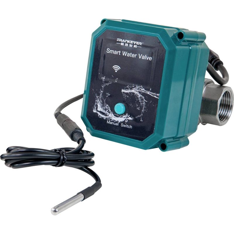 FrankEver Smart water valve DN15,  ½