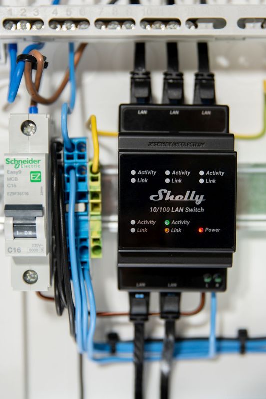 Shelly Switch