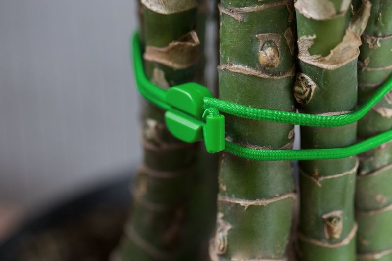 Bluelounge Pixi - Starka gummiband med lås, kanske det smartaste sedan färdigskivat bröd!