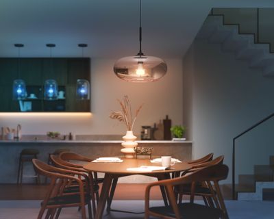 Hue White and Color Ambiance 13.5 W A67 E27