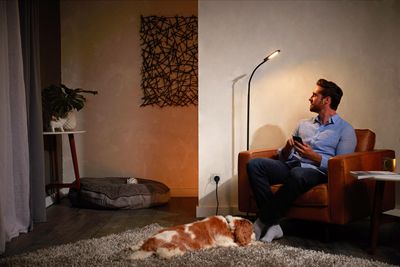 Hue Smart Plug