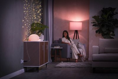 Hue Smart Plug