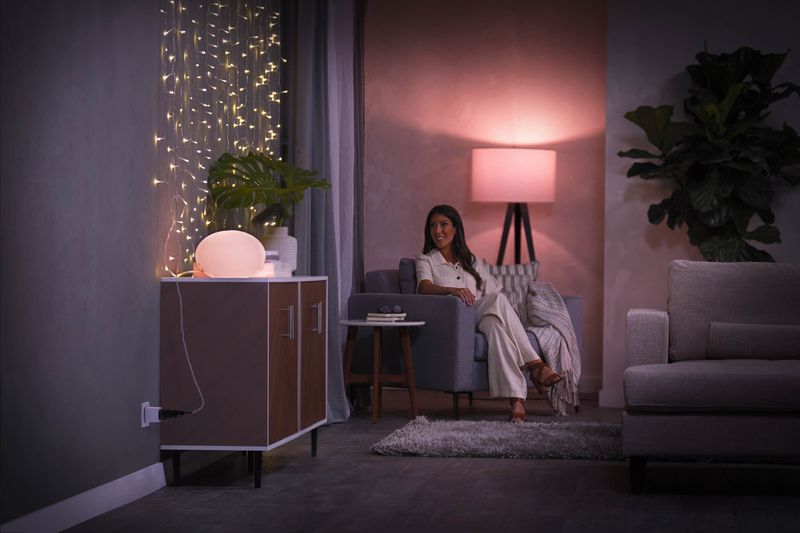Hue Smart Plug