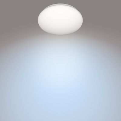 CL200 Ceiling 250mm 10W 1100lm 4000K Kalvitt.
