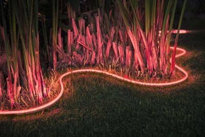 Ljusslinga LED för utomhusbruk - Hue Lightstrip Outdoor 5m
