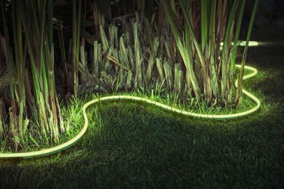 Ljusslinga LED för utomhusbruk - Hue Lightstrip Outdoor 5m