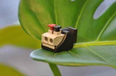 DC Adapter with Quick Terminal