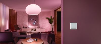 Hue Wall switch module 2-pack