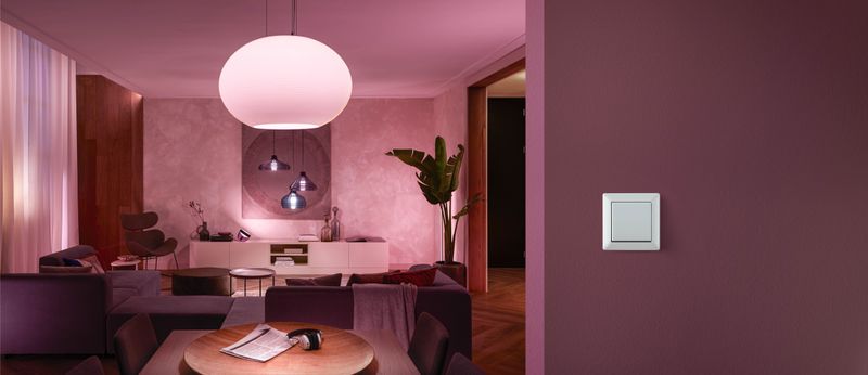 Hue Wall switch module 2-pack