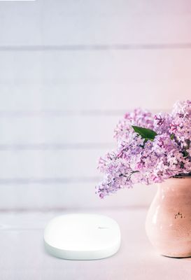 Smart Home Hub - Aeotec