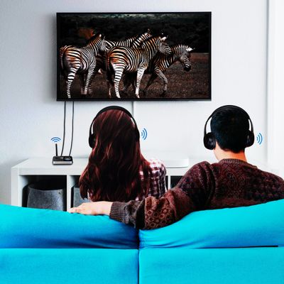 Bluetooth 5.0 2-in-1 Audio sändare/mottagare