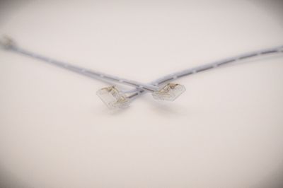 Beetle Clip - Extension 2 Pin COB strip connector