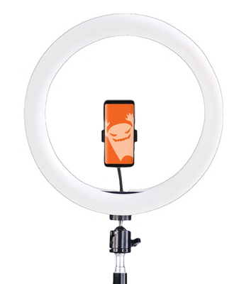 Vlogg-kit - ringlight & golvstativ