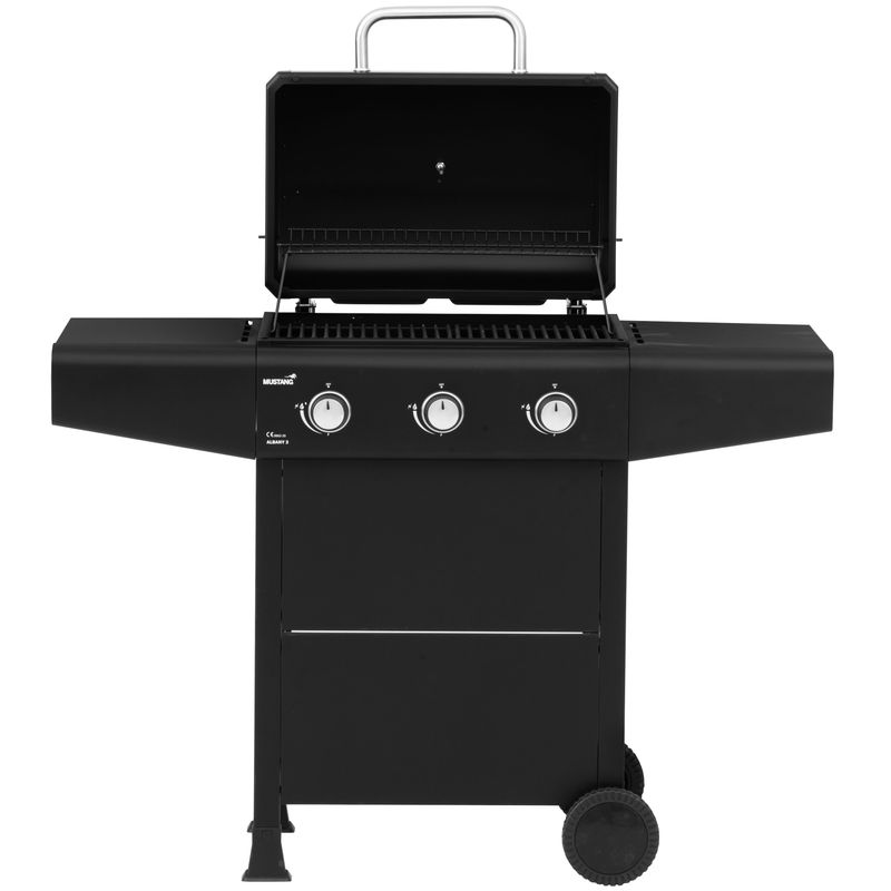 Gasolgrill Albany 3