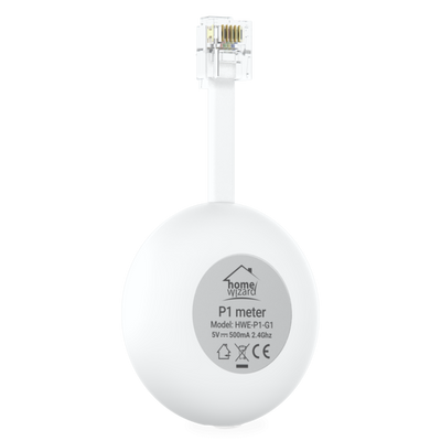 P1 Meter