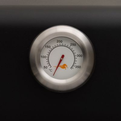 Gasolgrill Maryville 6