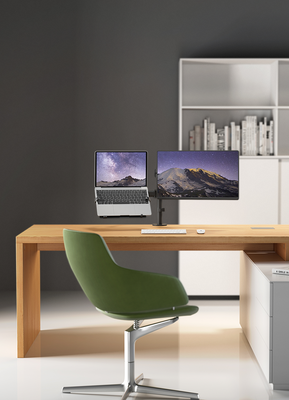 DELTACO Office, Laptop holder, 10"-15.6", 4.5kg, 75x75-100x100