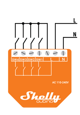 Shelly W i4