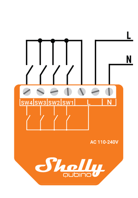 Shelly W i4