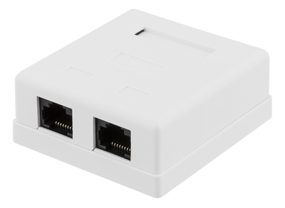 DELTACO oskärmat vägguttag, utanpåliggande UTP 2xRJ45, Cat6, vit