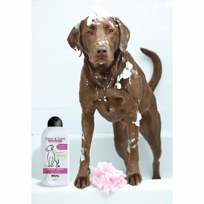 Clean and Calm, Concentrated Shampoo 750 ml