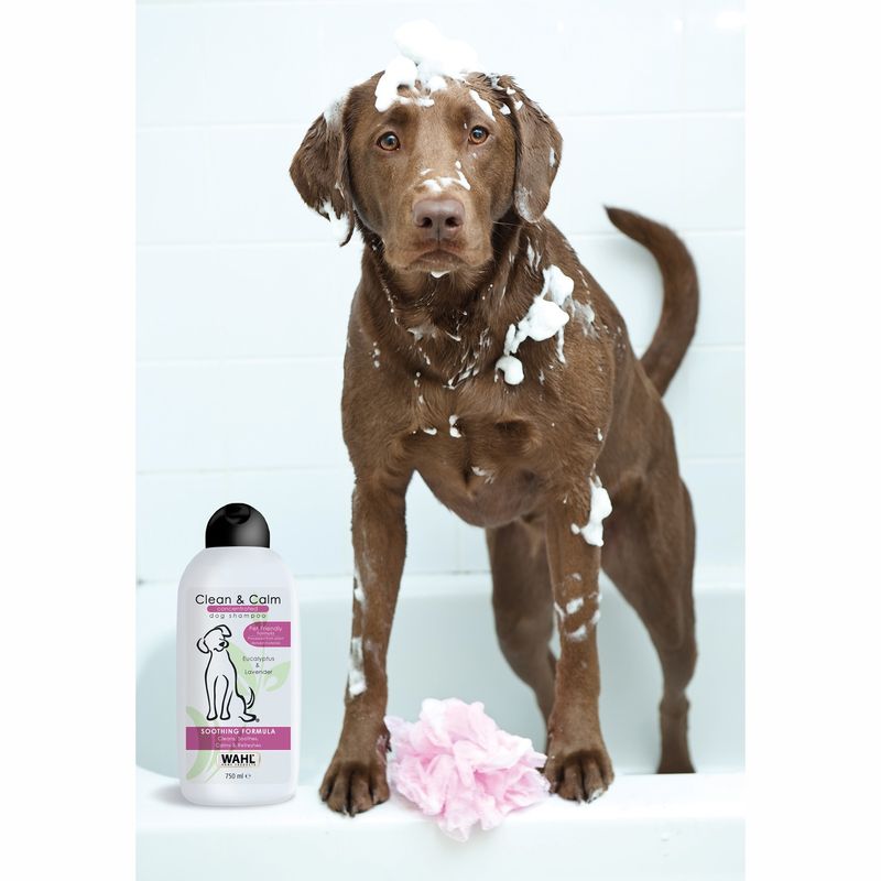 Clean and Calm, Concentrated Shampoo 750 ml
