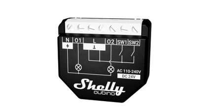 Shelly W 2PM