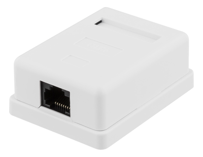 DELTACO oskärmat vägguttag, utanpåliggande UTP 1xRJ45, Cat6, vit