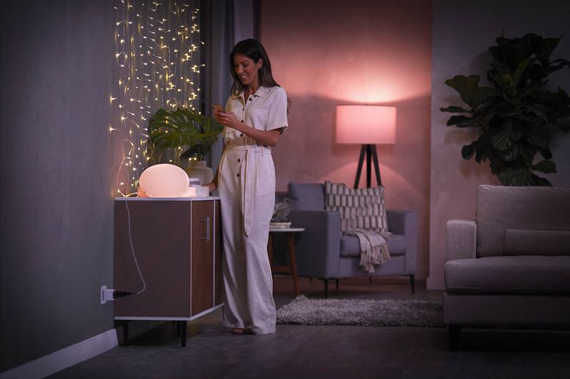 Hue Smart Plug