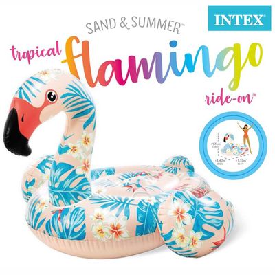 Tropical Flamingo Ride-On
