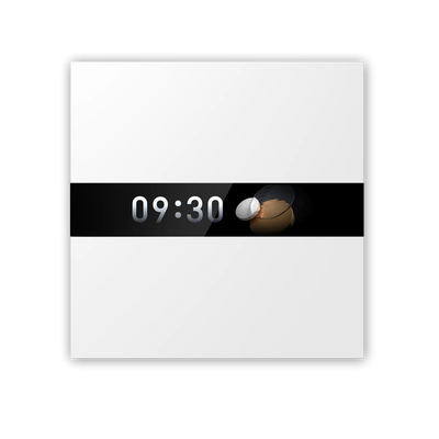 Display Switch V1 EU