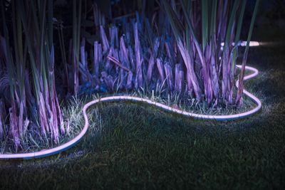 Ljusslinga LED för utomhusbruk - Hue Lightstrip Outdoor 5m