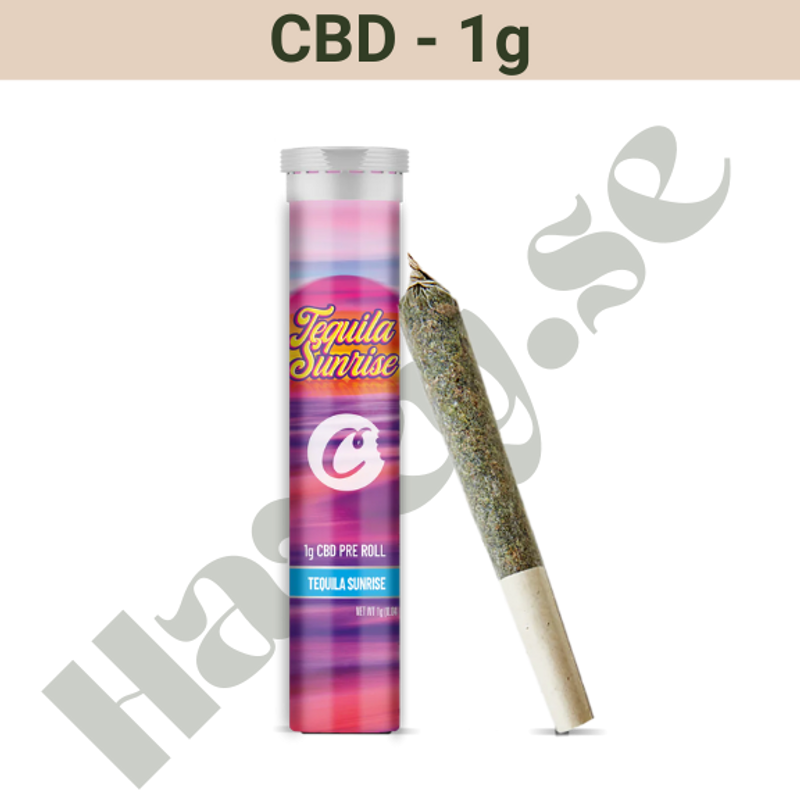 PreRolled – CBD – Tequila Sunrise – 1 gram
