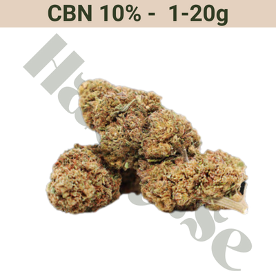 Blommor – CBN 10% – Great White Shark