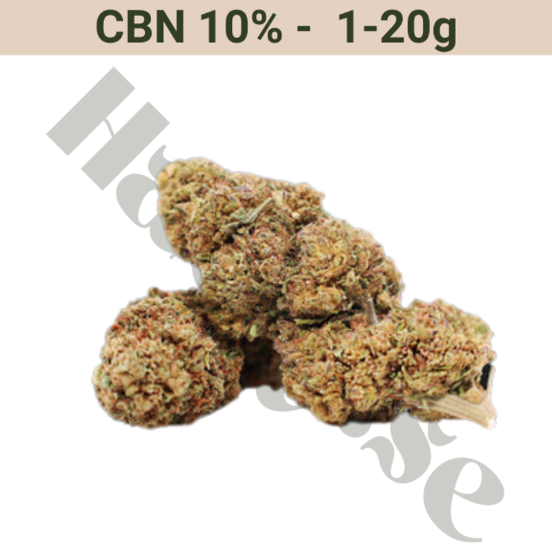 Blommor – CBN 10% – Great White Shark