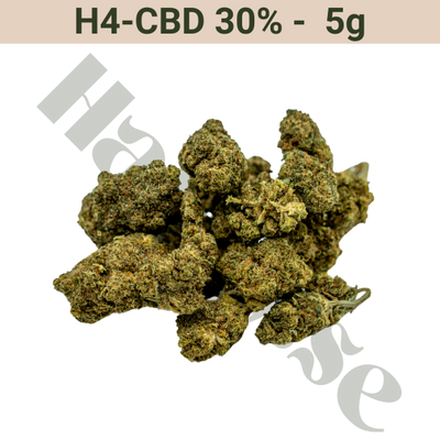 Buds – H4CBD 30% – Kusher Kush – 5 gram