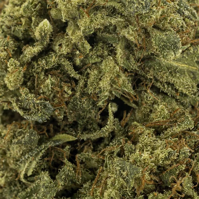 Buds – THCA 23% – Amnesia Infused – 5 gram