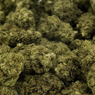 Buds – THCA 23% – Amnesia Infused – 5 gram