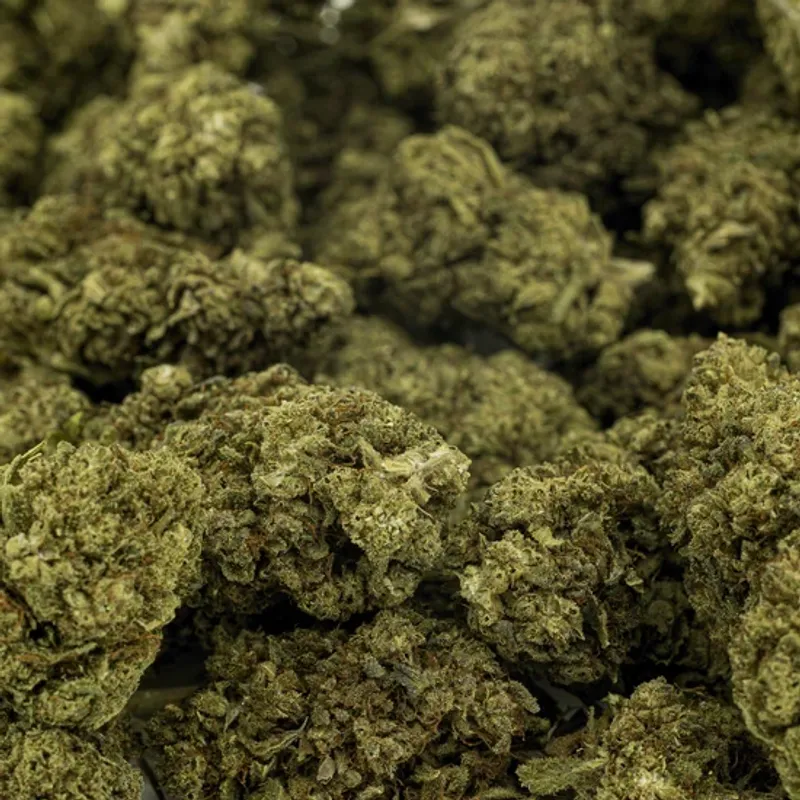 Buds – THCA 23% – Amnesia Infused – 5 gram