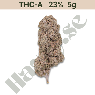 Buds – THCA 23% – Orange Indoor – 5 gram