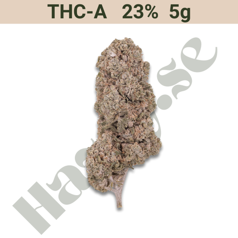 Buds – THCA 23% – Orange Indoor – 5 gram