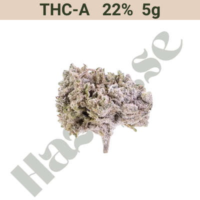 Buds – THCA 22% – Orange Small Buds – 5 gram