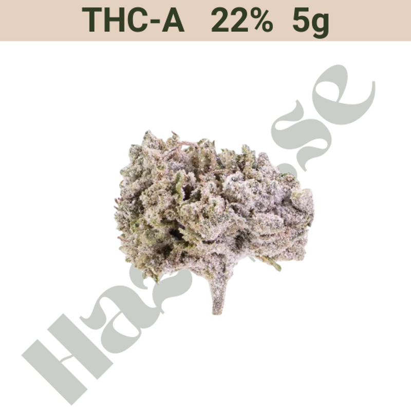 Buds – THCA 22% – Orange Small Buds – 5 gram